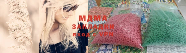 индика Вяземский